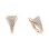 CZ Pavé Earrings. 585 (14kt) Rose and White Gold