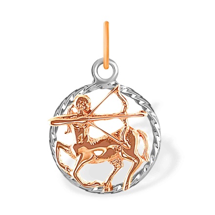 Sagittarius Zodiac Necklace Steel Gold