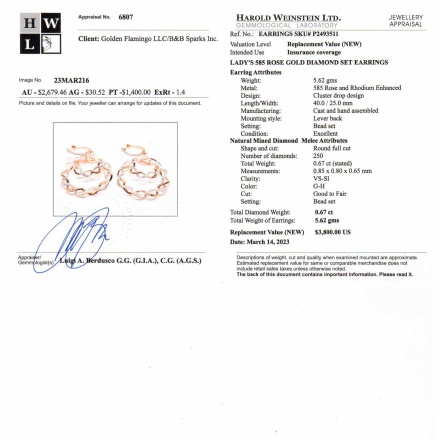 Passport/Appraisal Certificate of Artistically Designed Diamond Dangle Earrings