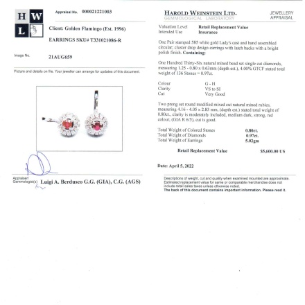 Appraisal of ruby and diamond earrings