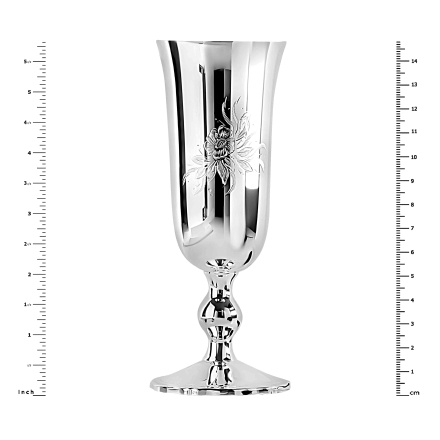 Height of Shiny Silver Champagne Glass