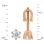 Size of Six-Prong Solitaire Diamond Stud Earrings