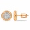 Ear Studs Featuring 30 Diamonds. Tested 585 (14K) Rose and White Gold