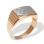 Textured Signet for Him. 585 (14kt) Rose and White Gold