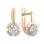 Swarovski CZ Circle Earrings. 585 (14kt) Rose Gold