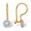 CZ Flower Kidney Teen Earwire Earrings. Certified 585 (14kt) Rose Gold, Rhodium Detailing
