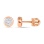 Multi-diamond Golden Post Earrings. Certified 585 Rose Gold, Rhodium, Screw Backs
