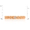 Hypoallergenic 585 Rose Gold 'Links and Beads' Ring with a Full-cut Diamond - Angle 2