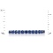 Half Eternity Ring with 14 Round Sapphires, Angle 2