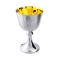 Wine Matte Silver Goblet with Floral Engraving. Hypoallergenic 925 Silver, 999 (24kt) Gold Plating